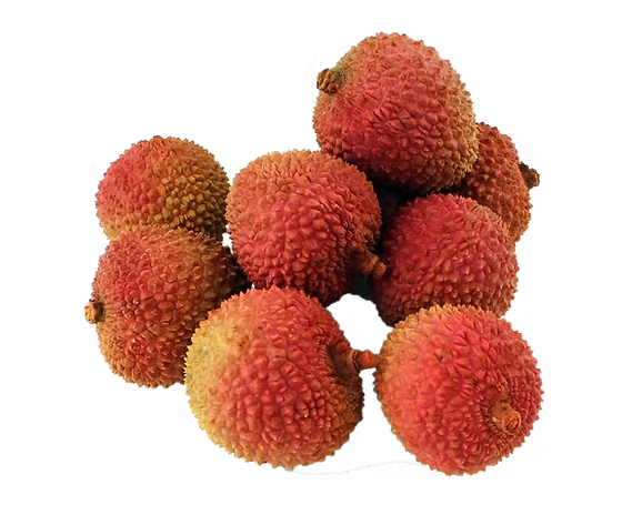 Lychee