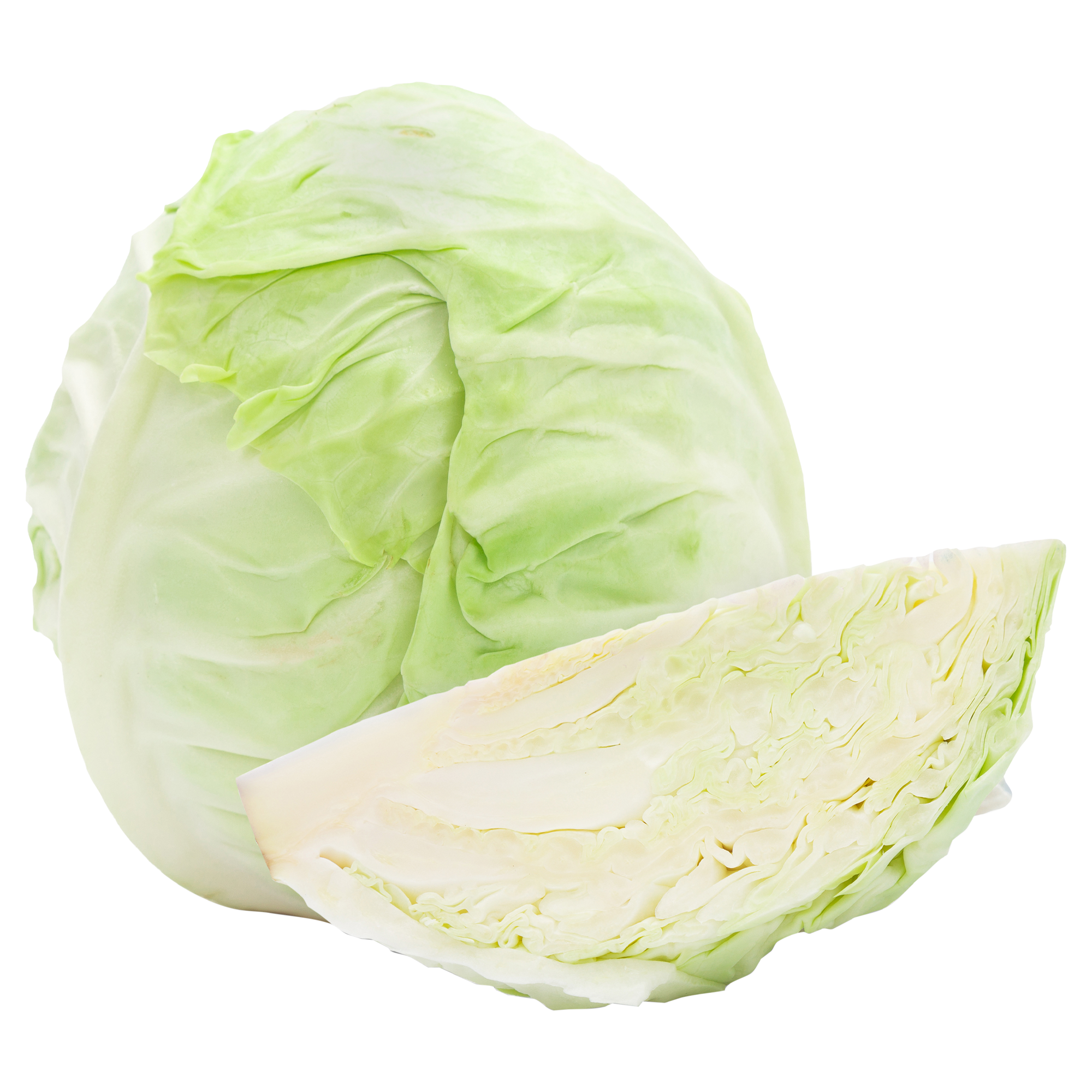 Cabbage